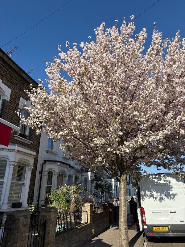 House Gillespie Road in Greater London