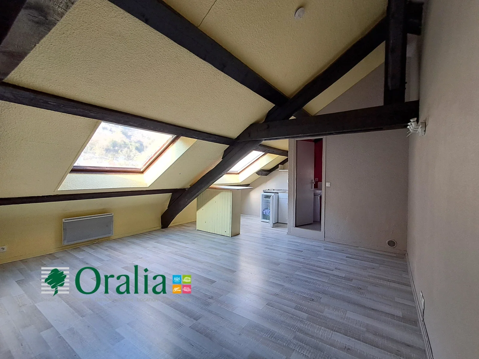 Flat Quai Jongkind in Grenoble