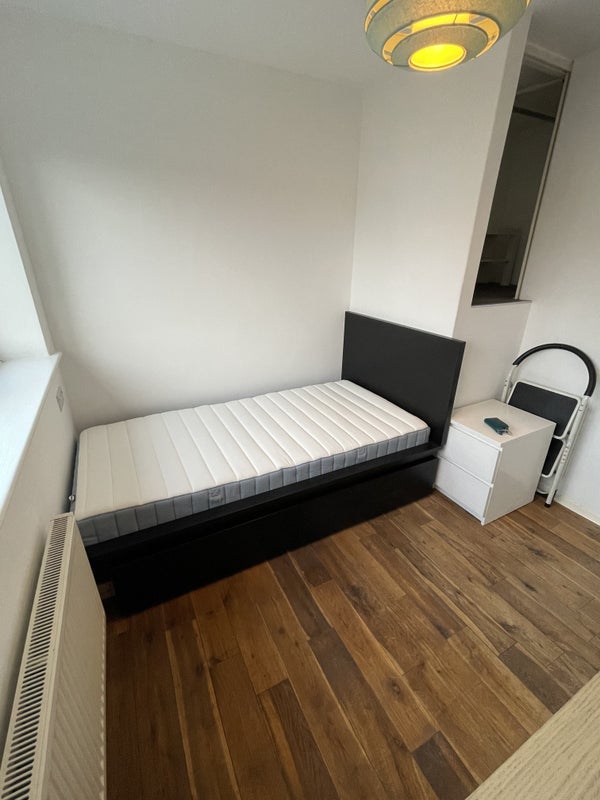 Room Springfield Road in Chelmsford