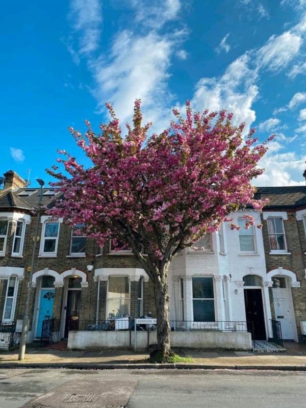 Room Kerrison Road in Greater London