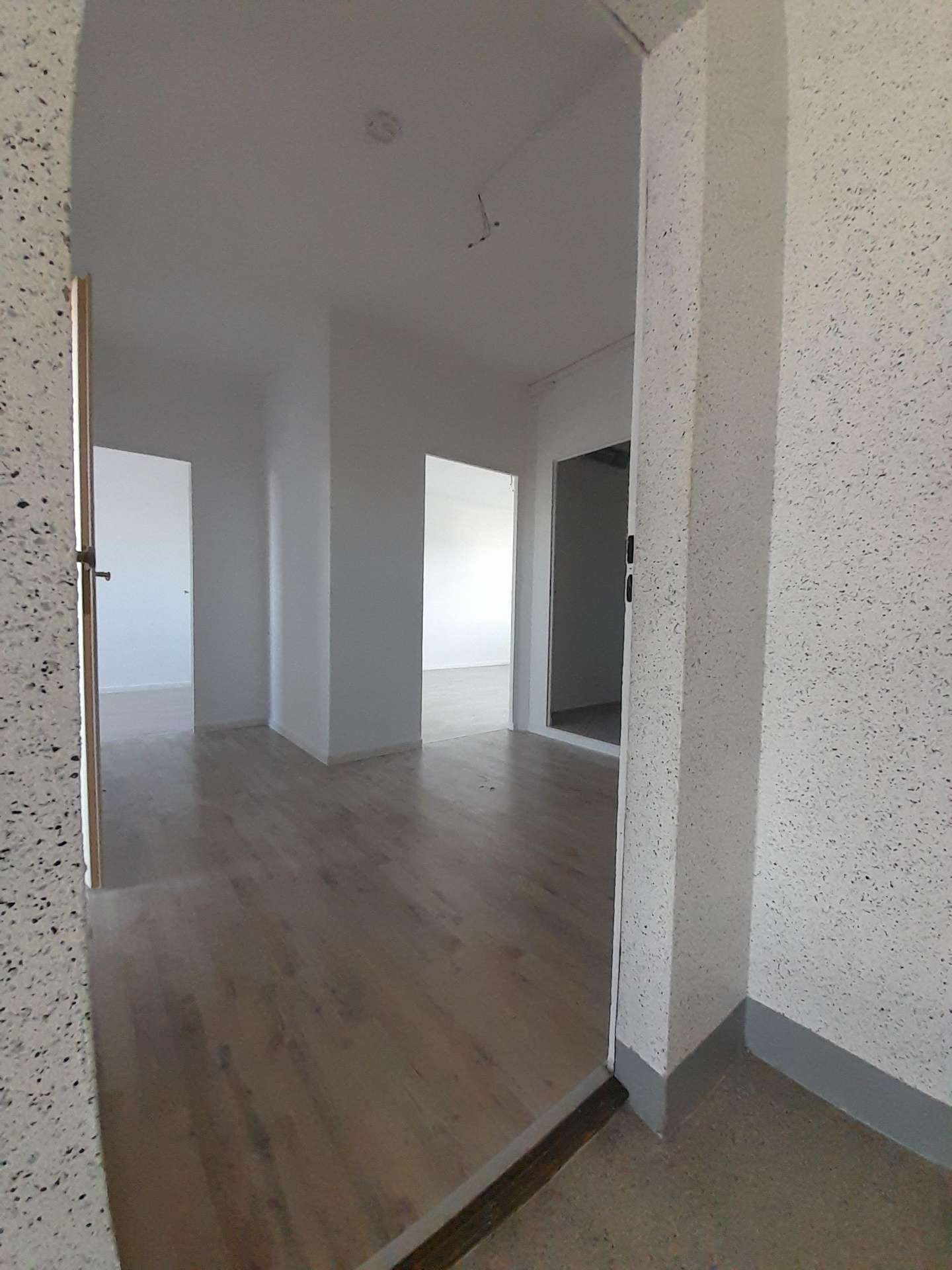 Wohnung Walter-Arnold-Straße in Dresden