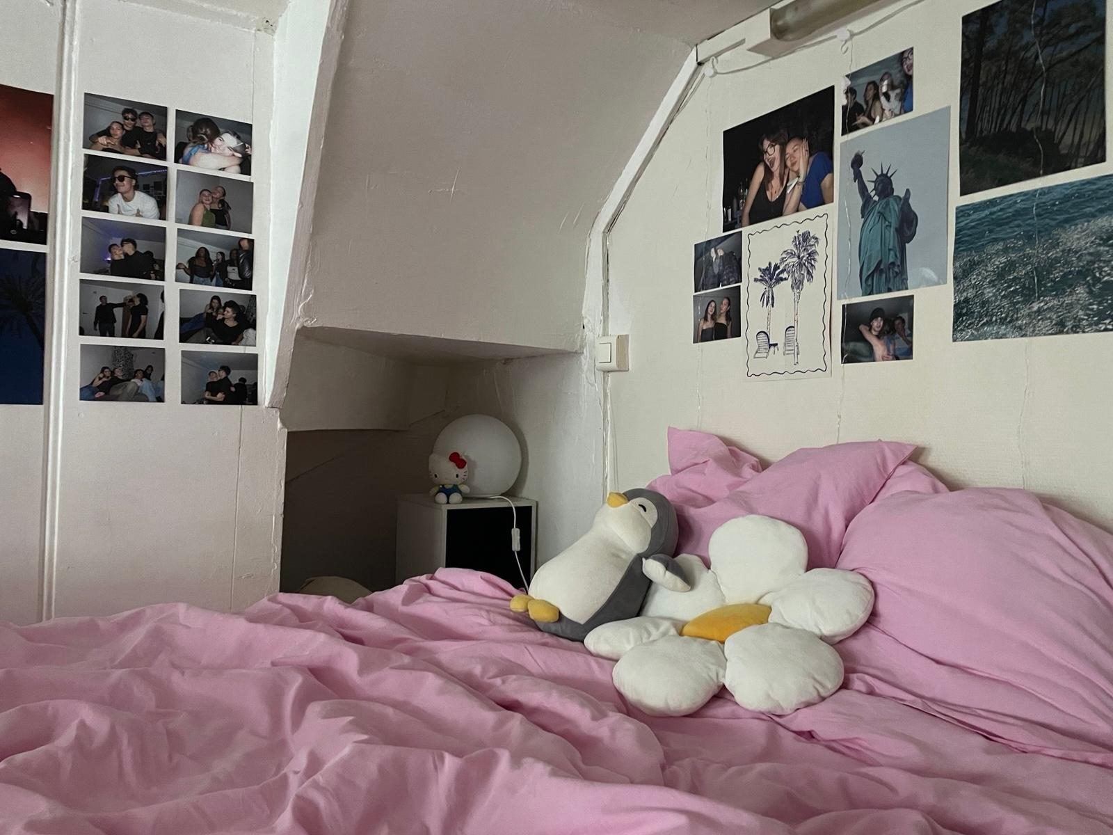 Room Rue de Lens in Lille