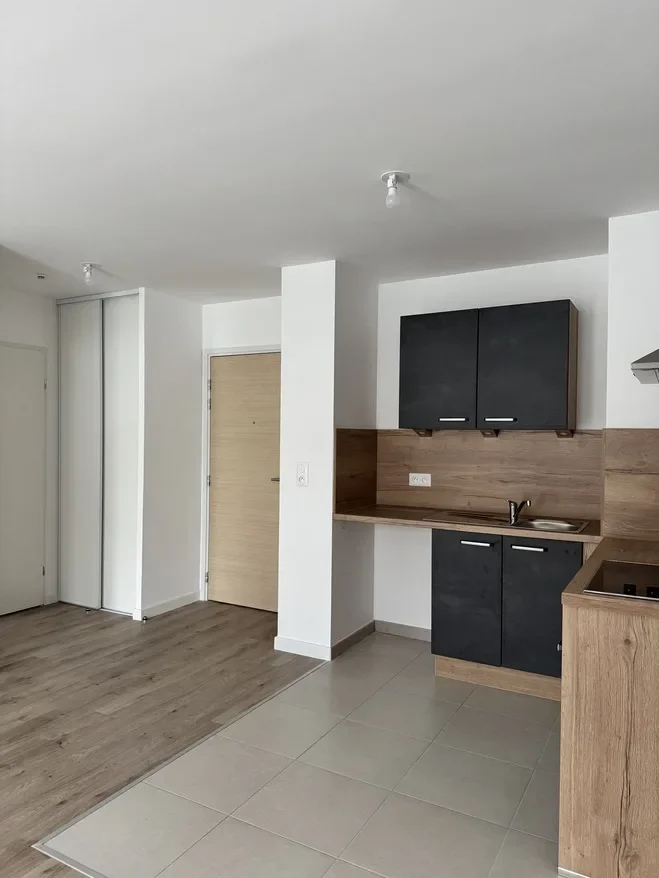 Appartement Avenue Georges Clemenceau à Saint-Jean-de-la-Ruelle