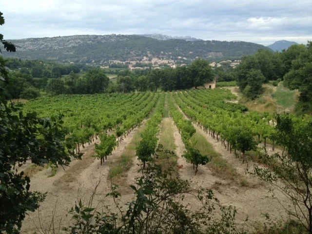 Chambre Impasse des Oliviers à Aubignan