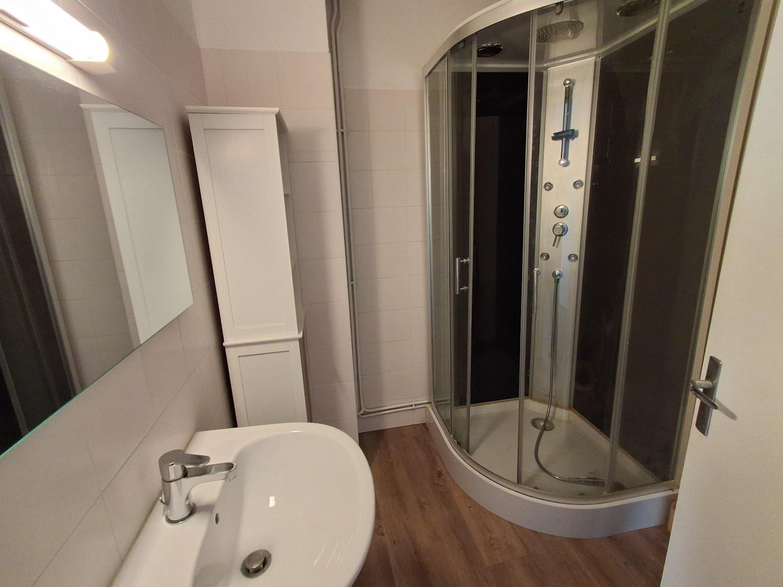 Appartement Rue Antoine Durafour à Saint-Étienne