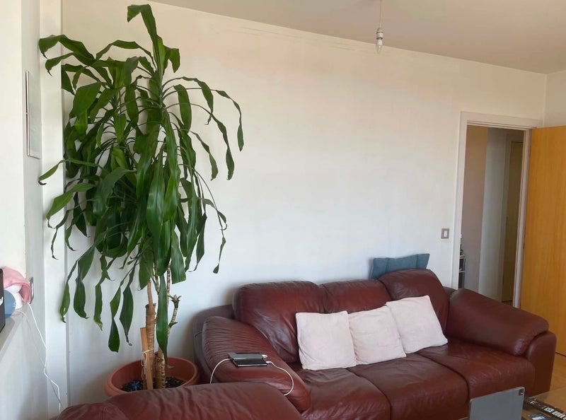 Room High Road Leytonstone in Greater London