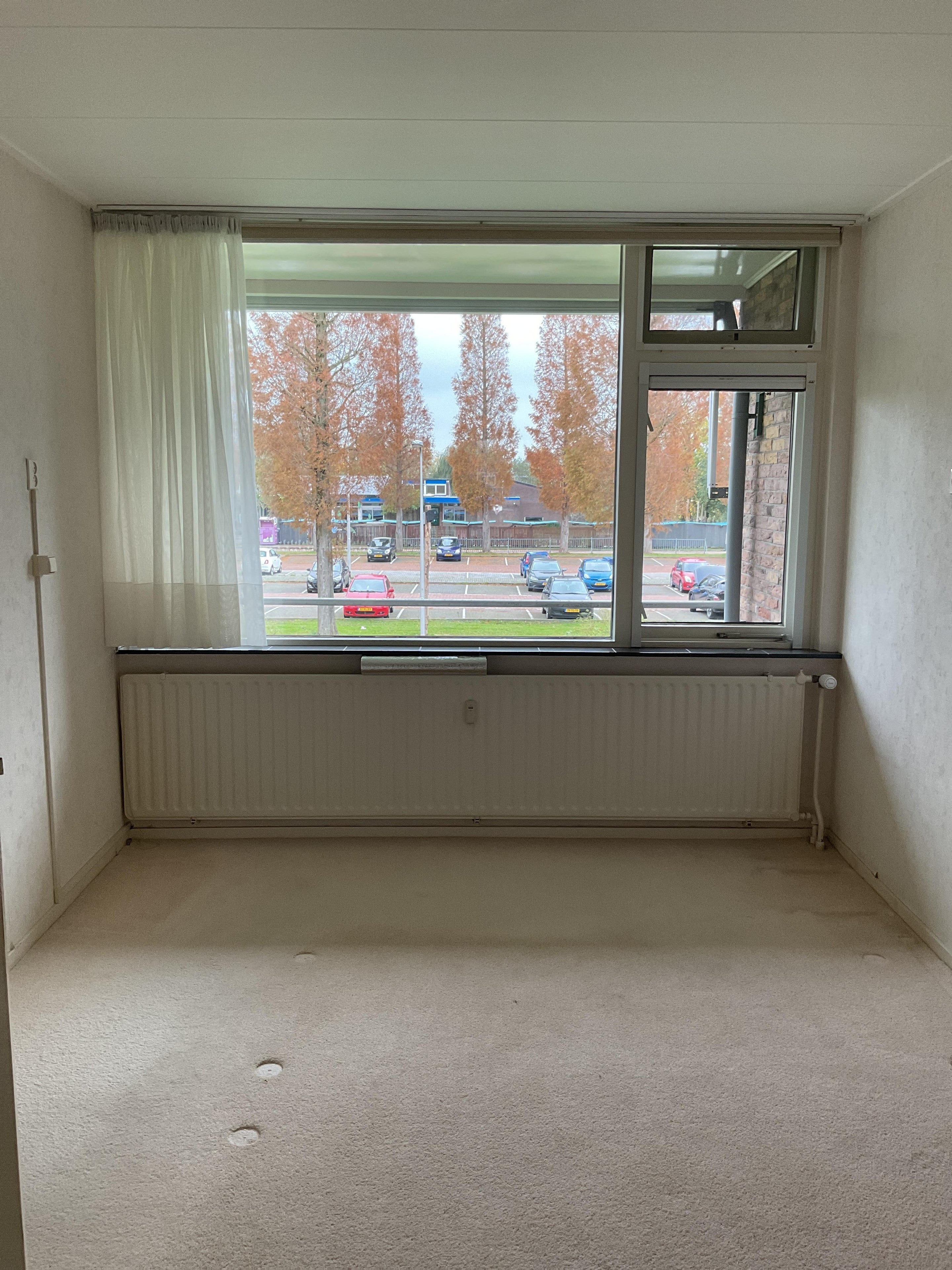 Flat A.P. van Neslaan in Boskoop