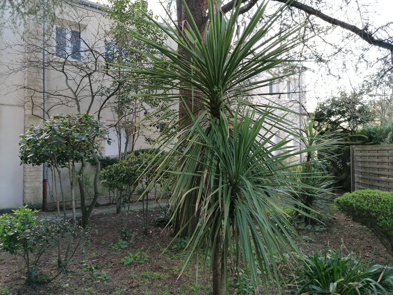 Appartement Rue Ernest Meyer à La Rochelle