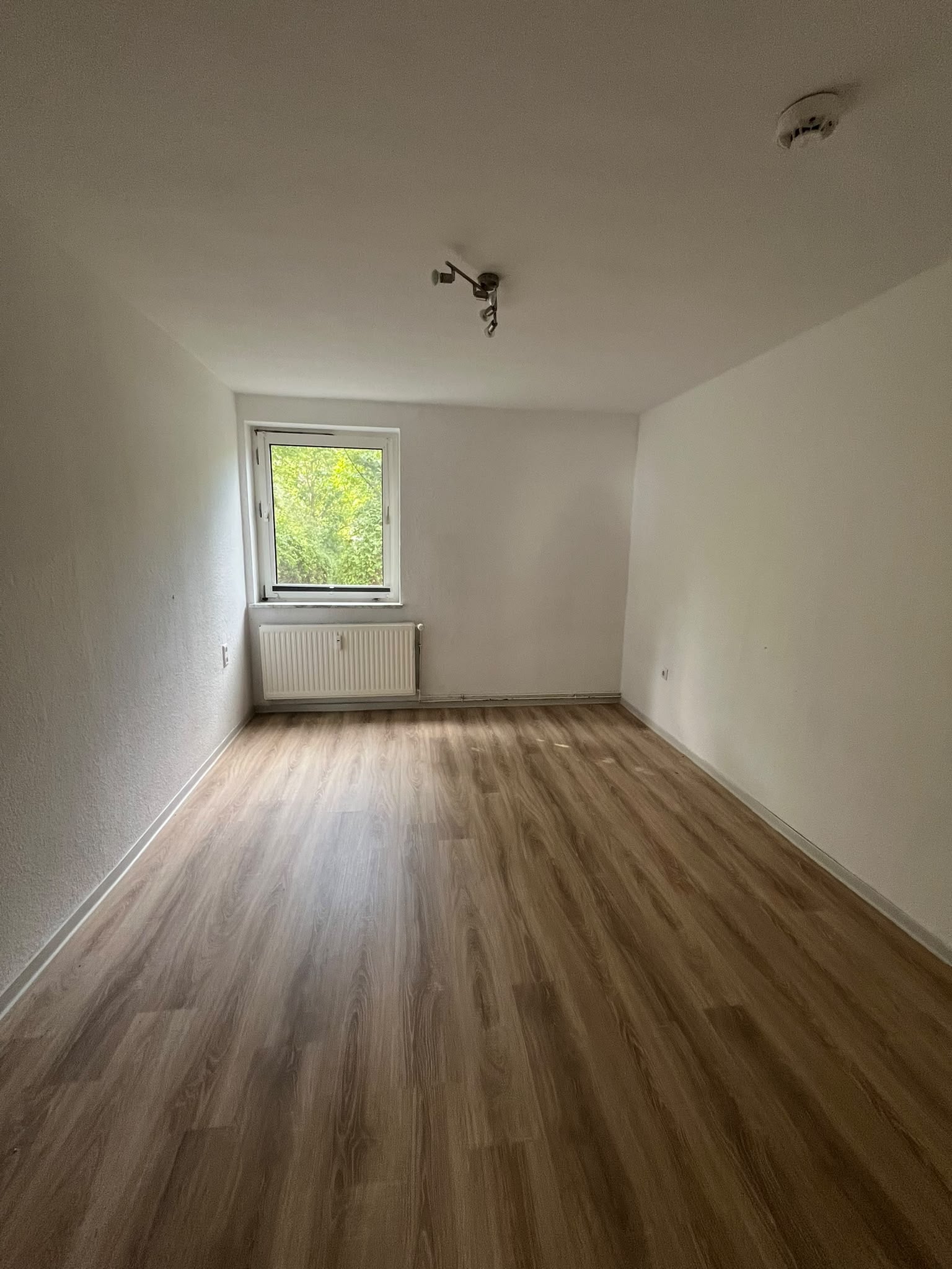 Wohnung Ahornstraße in Salzgitter