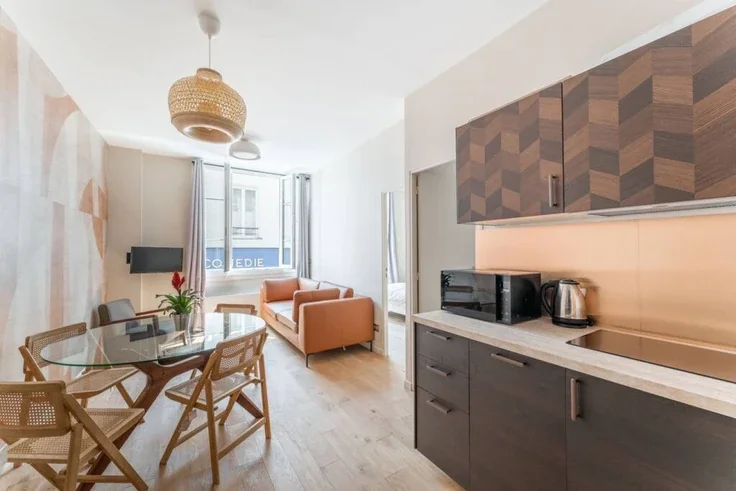 Flat Rue Saulnier in Paris
