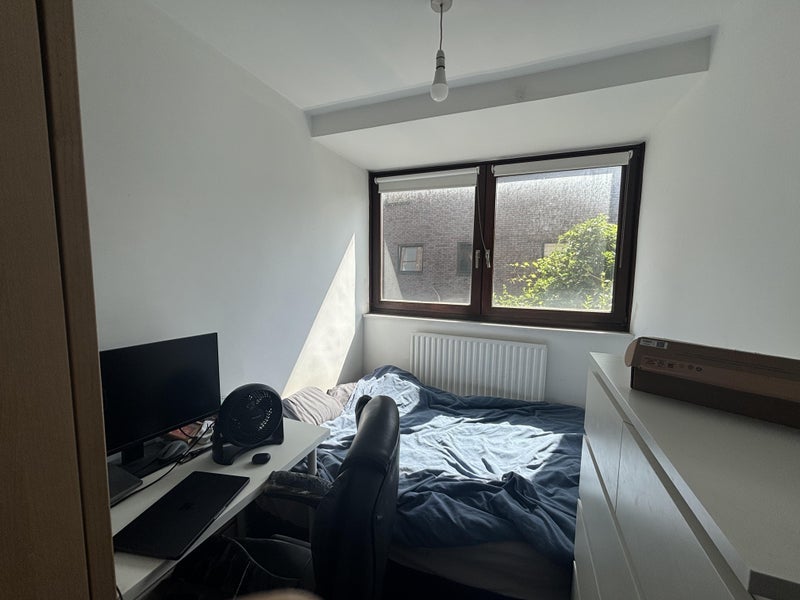 Flat Hare Walk in Greater London