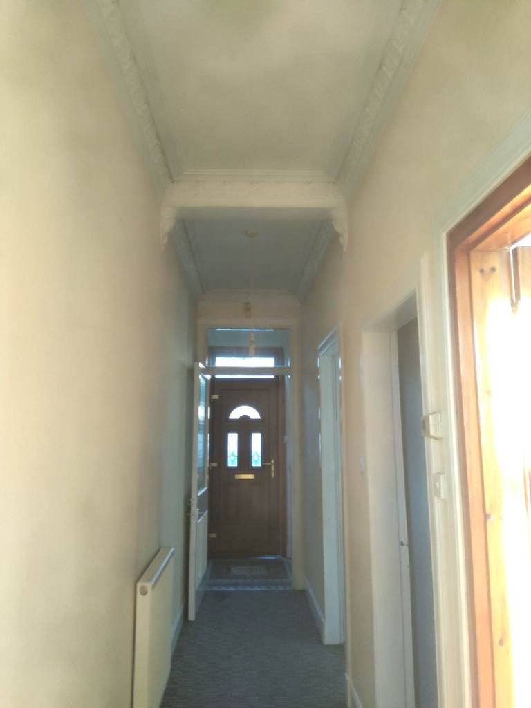 Flat Thistle Terrace in Leven