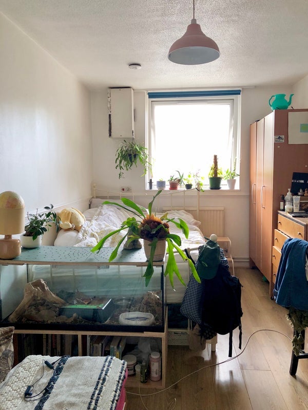 Room Hastings Close in Greater London