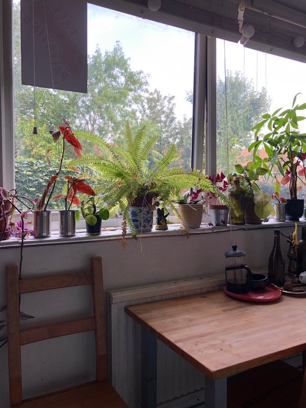 Room Hastings Close in Greater London