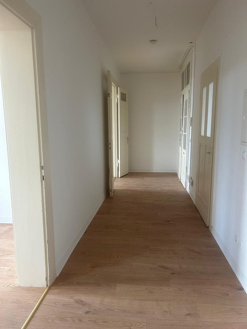 Wohnung Paracelsusstraße in Halle (Saale)