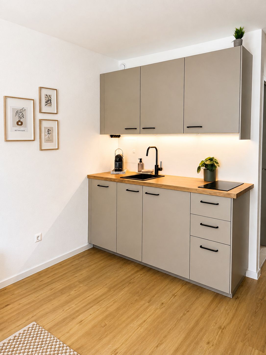 Wohnung Wentzingerstraße in Freiburg im Breisgau