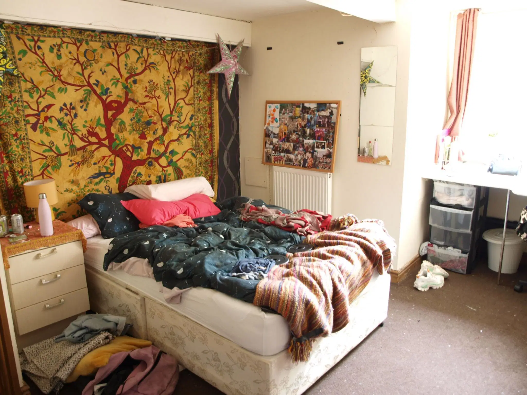 House Back Brudenell Grove in Leeds