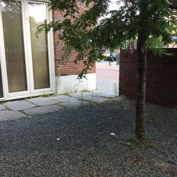 A rental house advertisment