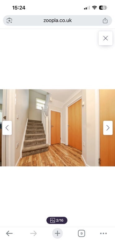 Room Damselfly Road in Ipswich