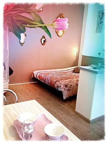 Appartement Rue Séré de Rivières à Albi