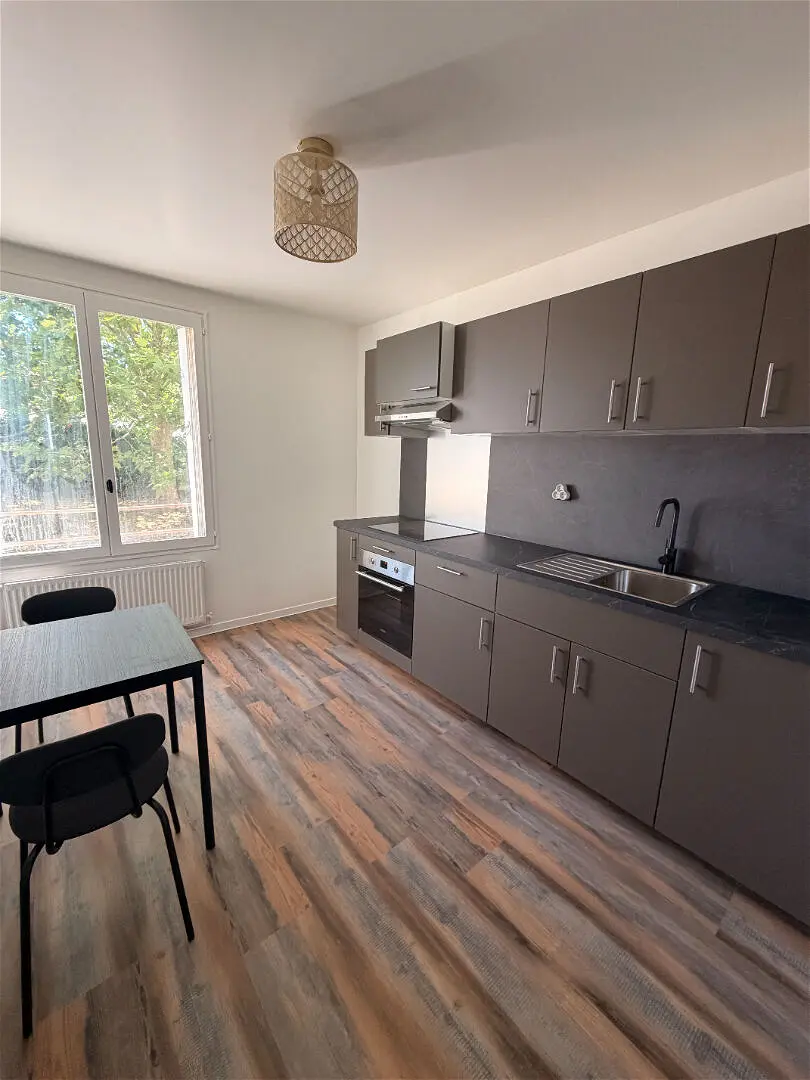 Appartement Rue du Professeur Ramon à Migennes