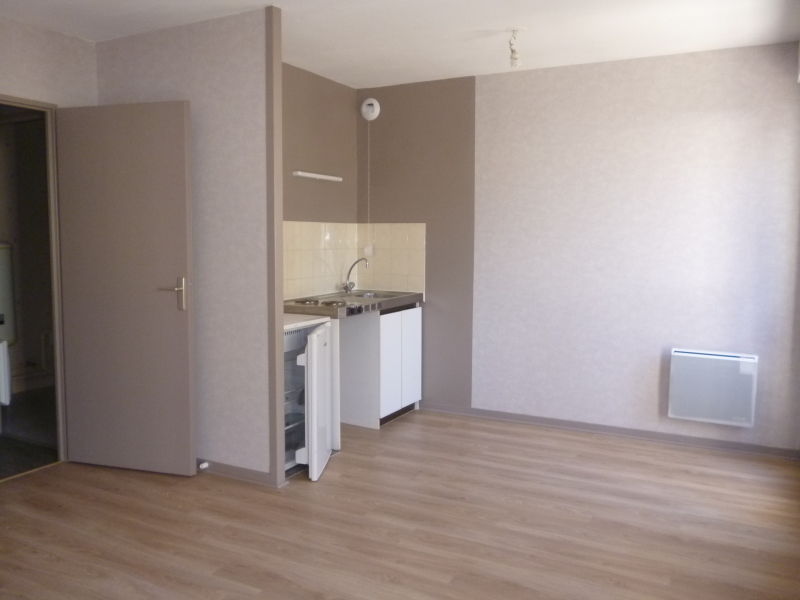Appartement Rue Notre-Dame-de-Recouvrance à Orléans