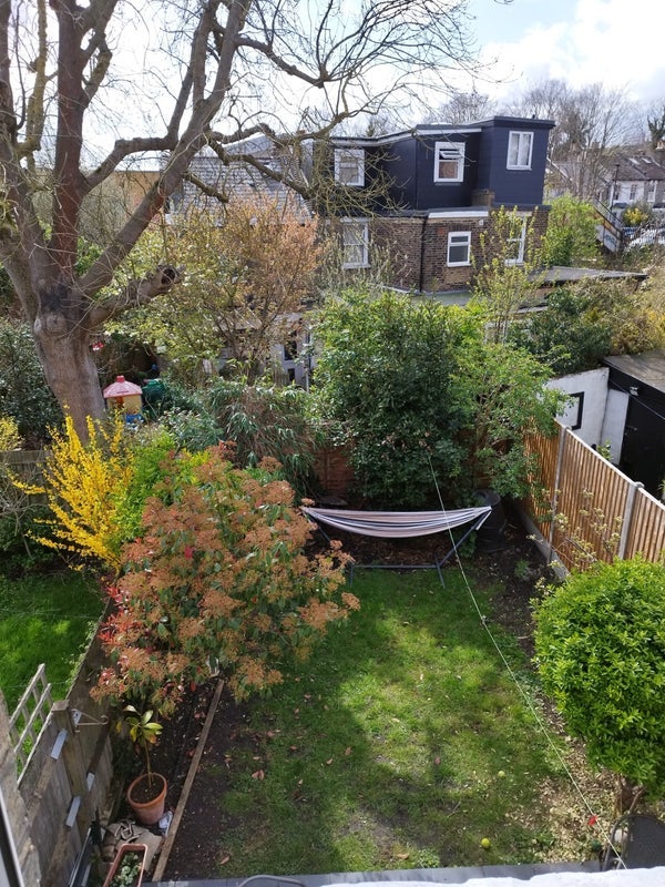 Room Lansdowne Hill in Greater London