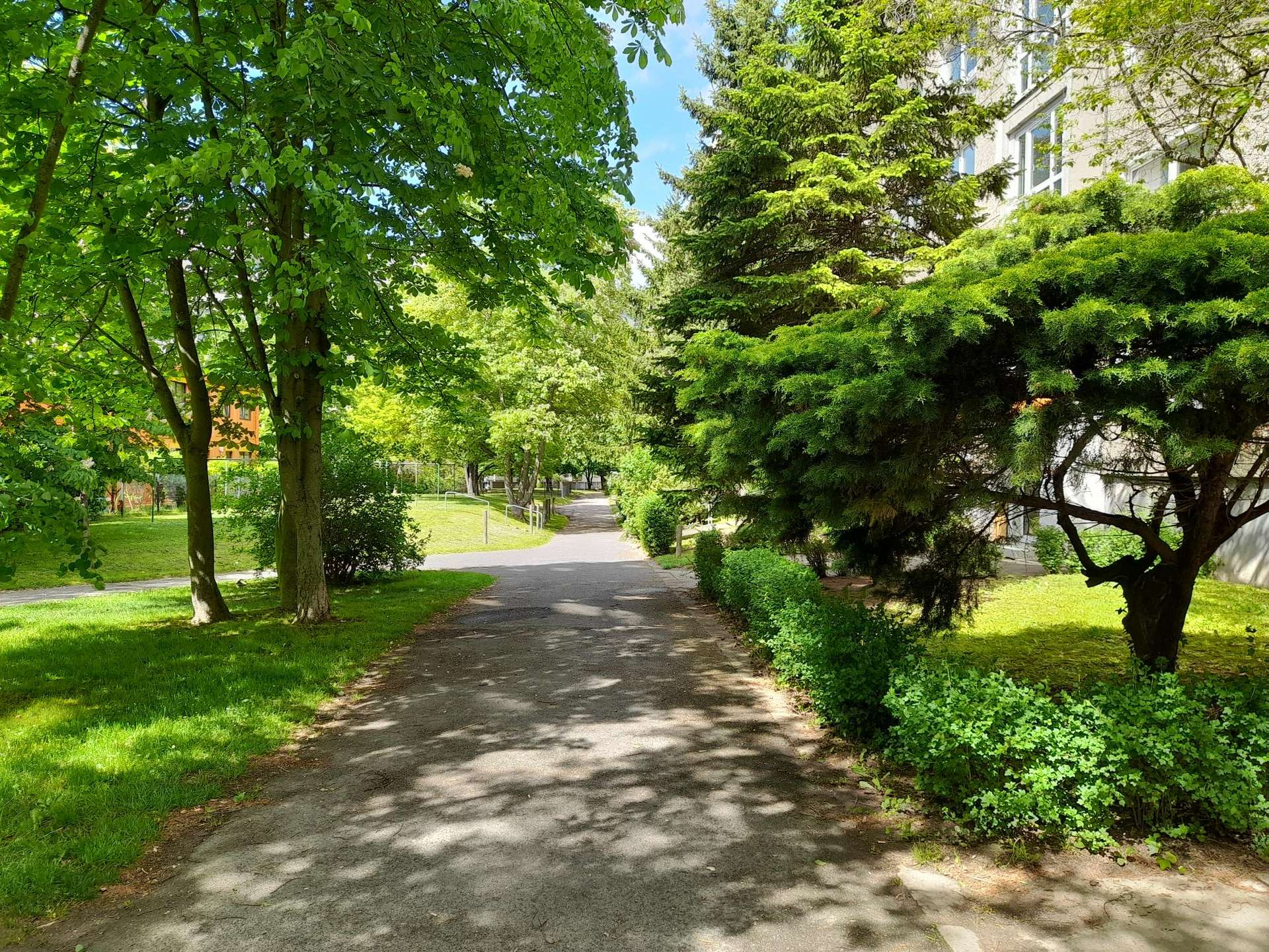Wohnung Finsterwalder Straße in Dresden