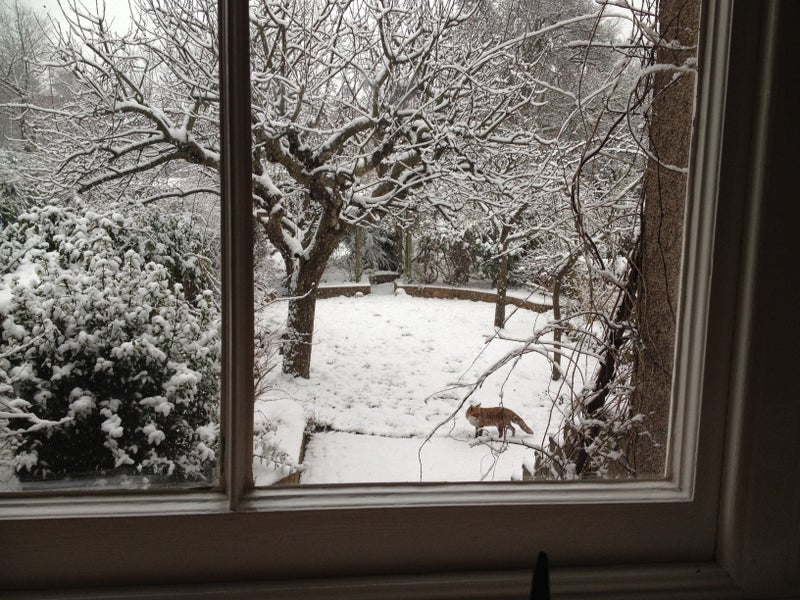 Room Geoffrey Road in Greater London