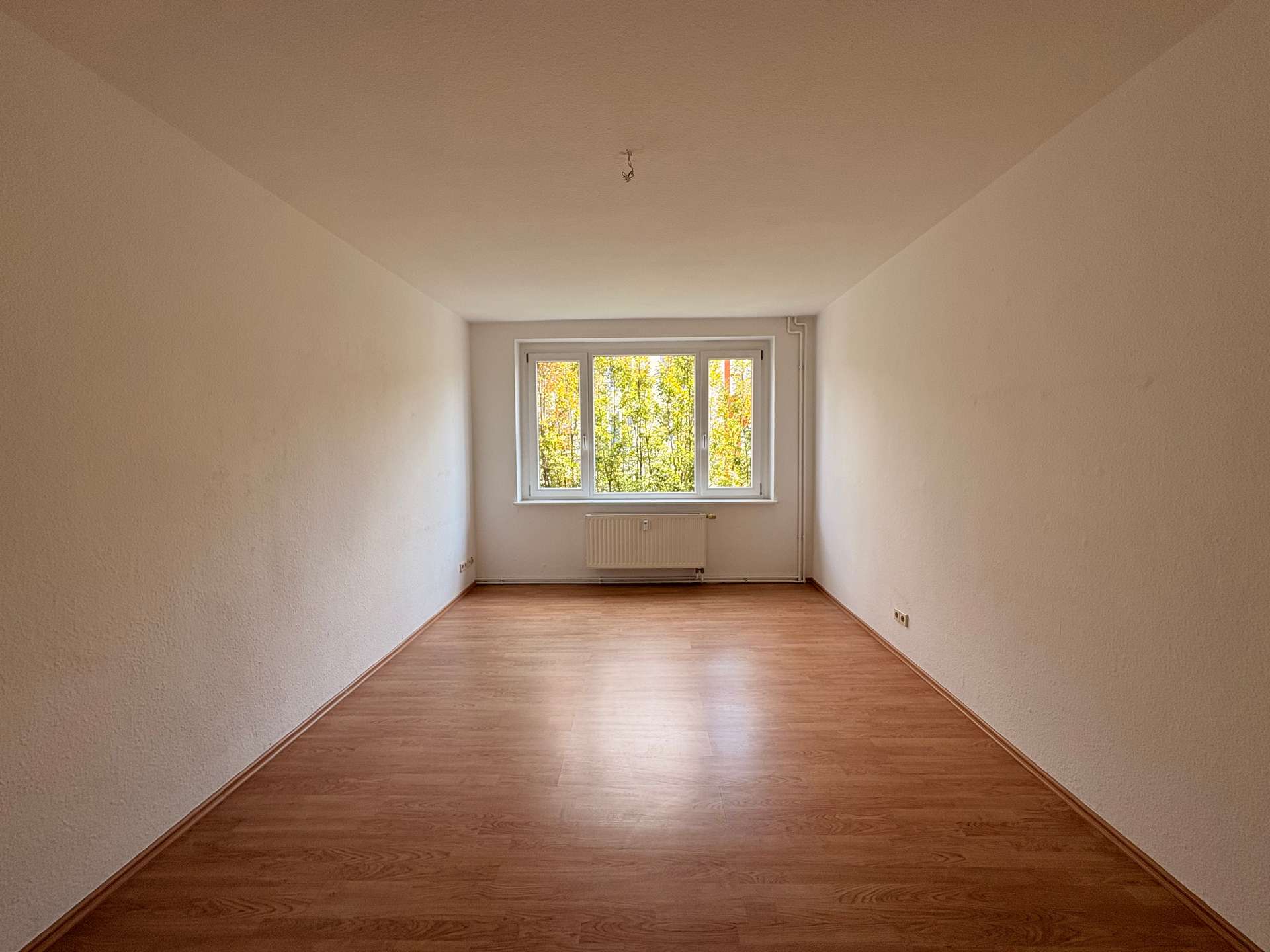 Wohnung Arndtstraße in Magdeburg