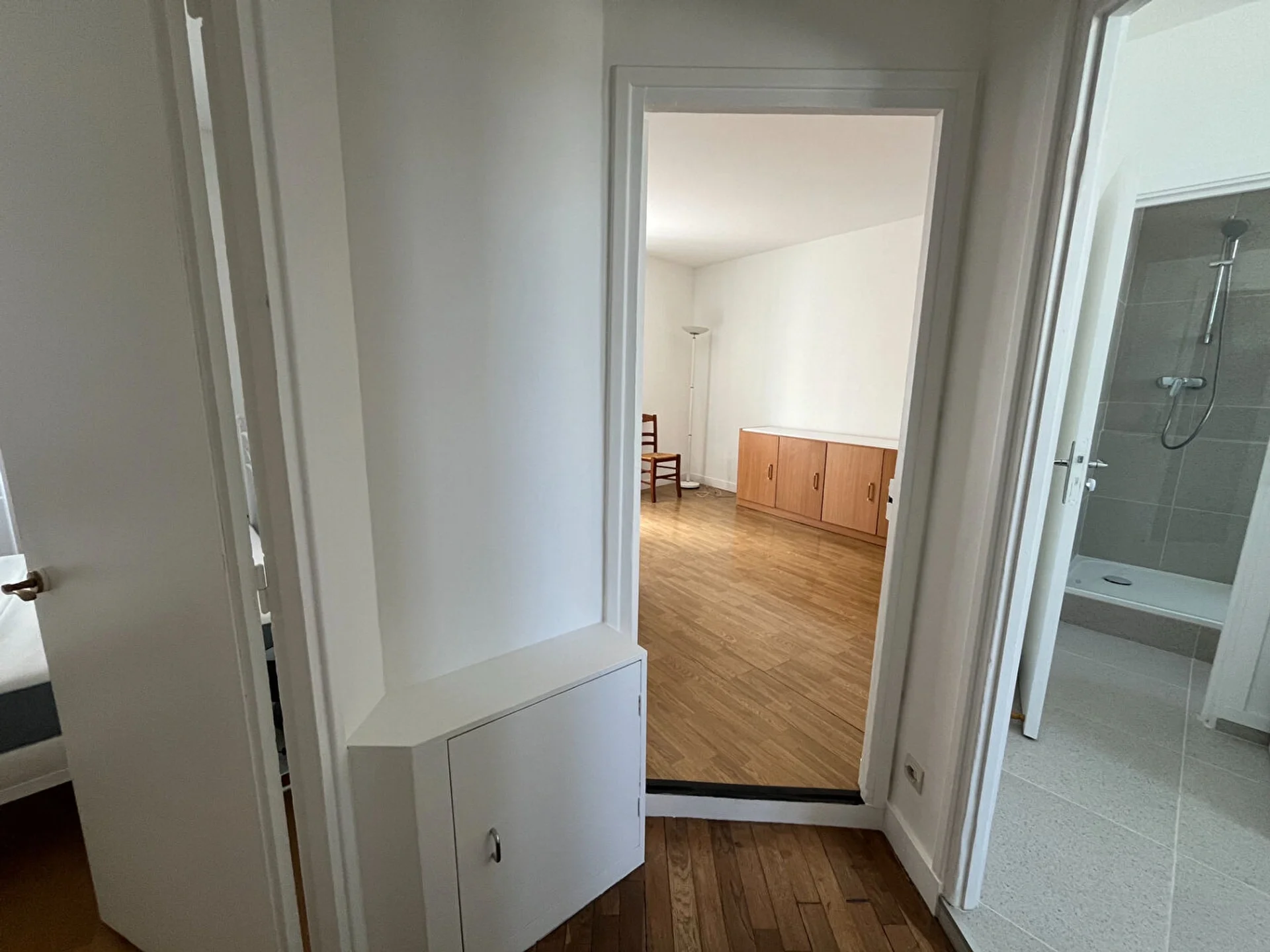 Flat Rue Olivier de Serres in Paris