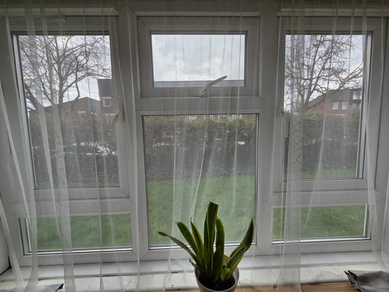 Room Victorian Grove in Greater London
