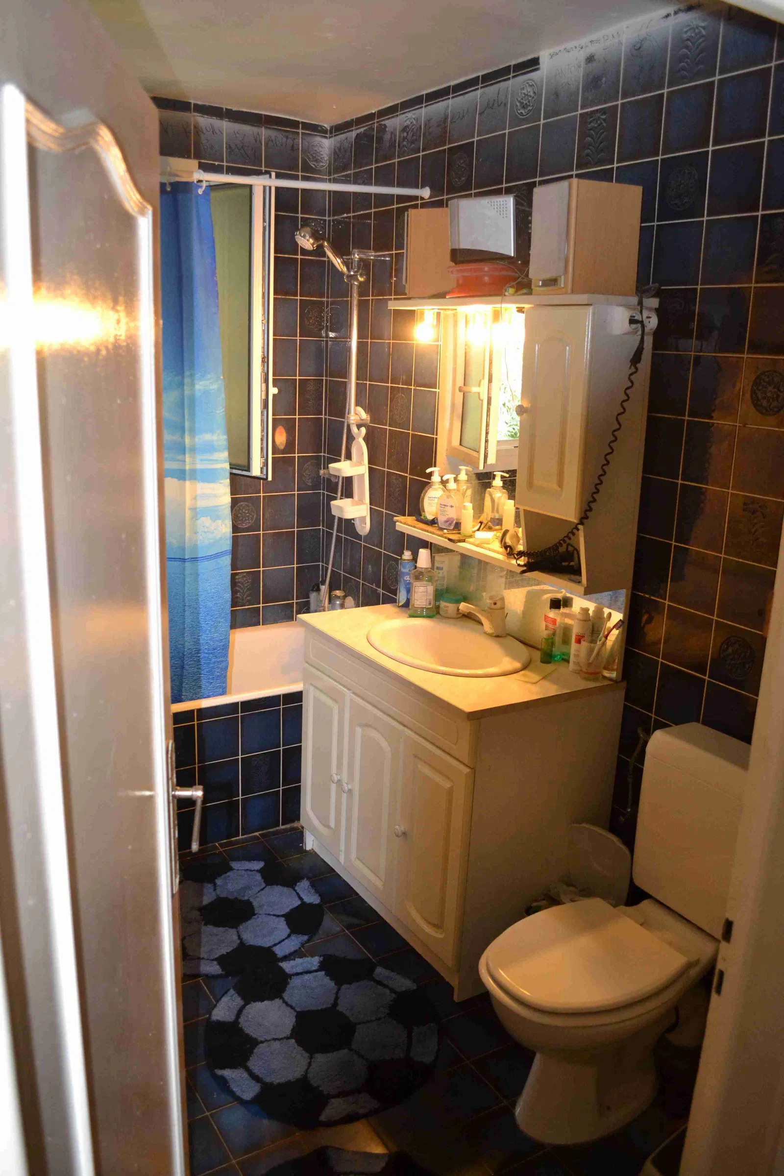 Room Les Allées du Parc in Ferney-Voltaire