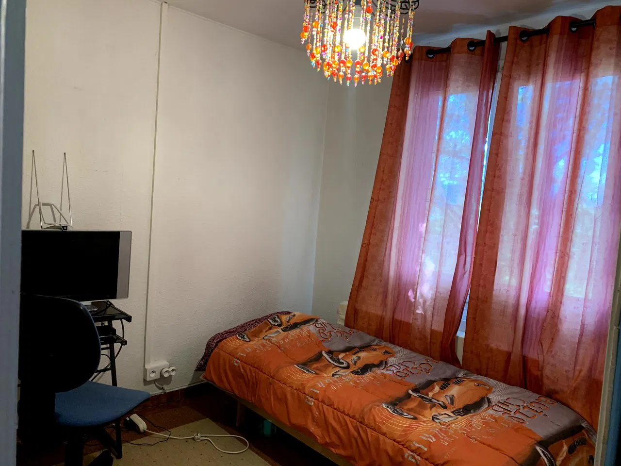 Room Les Allées du Parc in Ferney-Voltaire