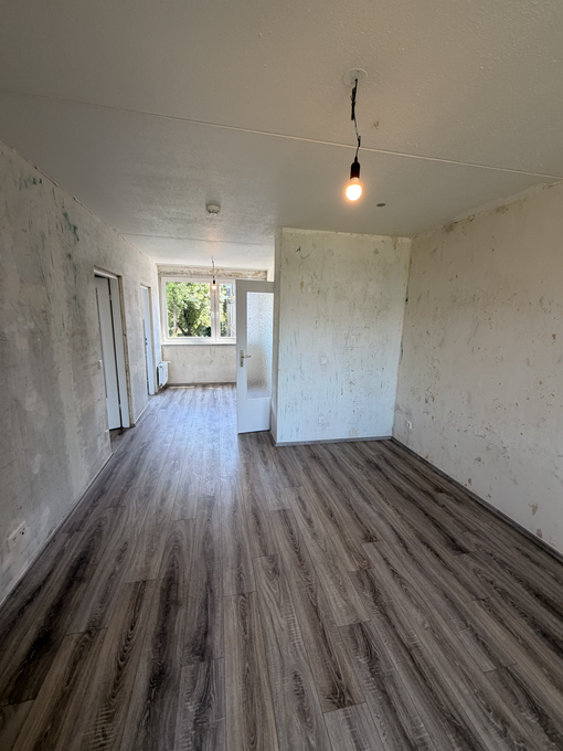 Wohnung Spinozastraße in Essen