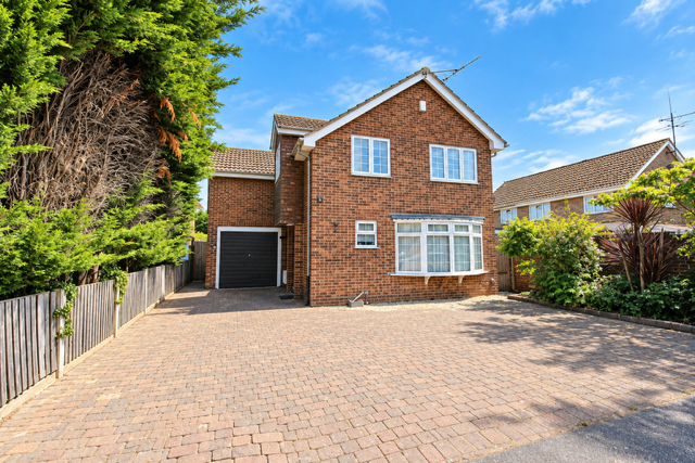 House Hornbeams in Castle Point