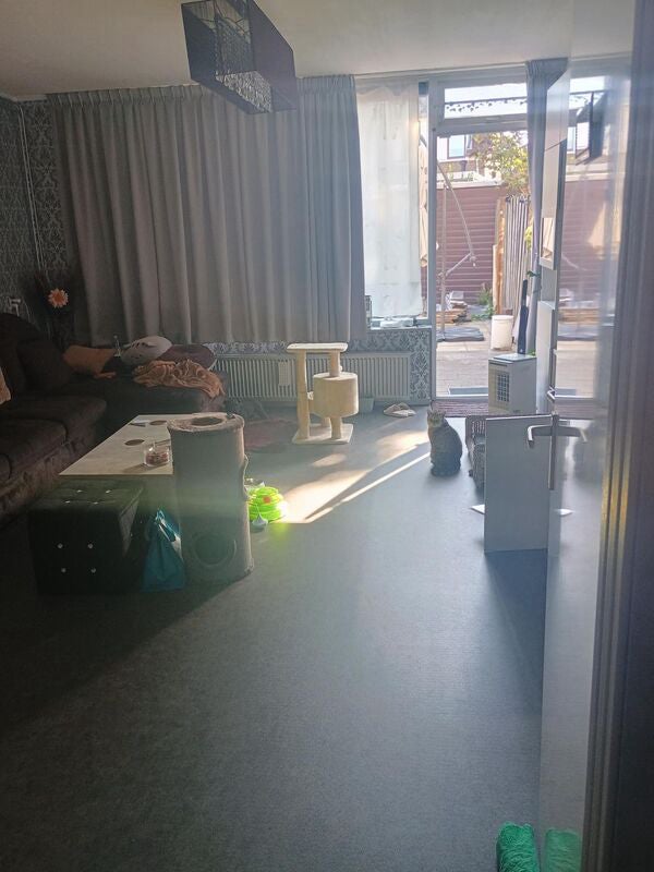 Appartement Treek 6