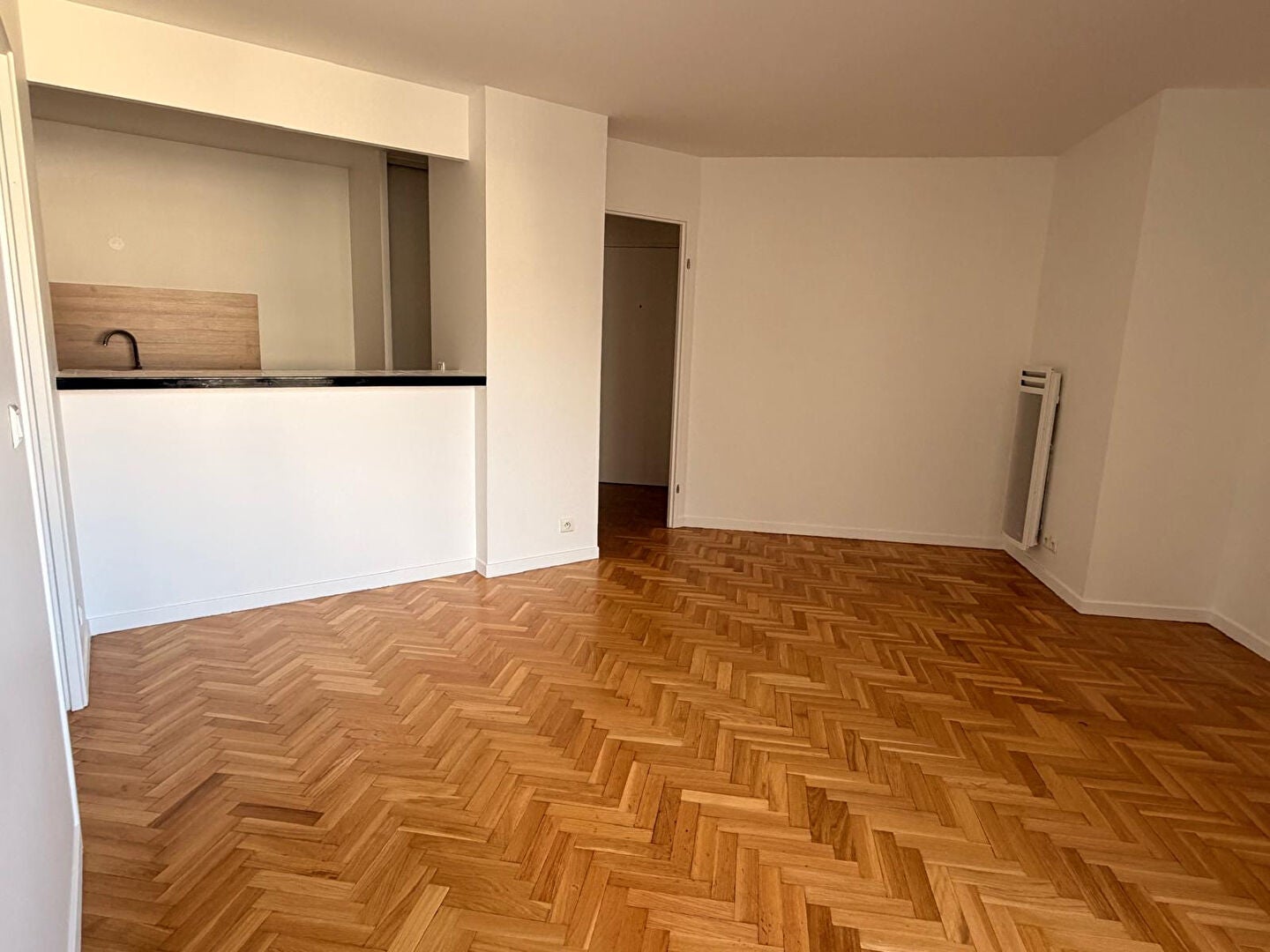 Appartement Quai Bir-Hakeim à Saint-Maurice