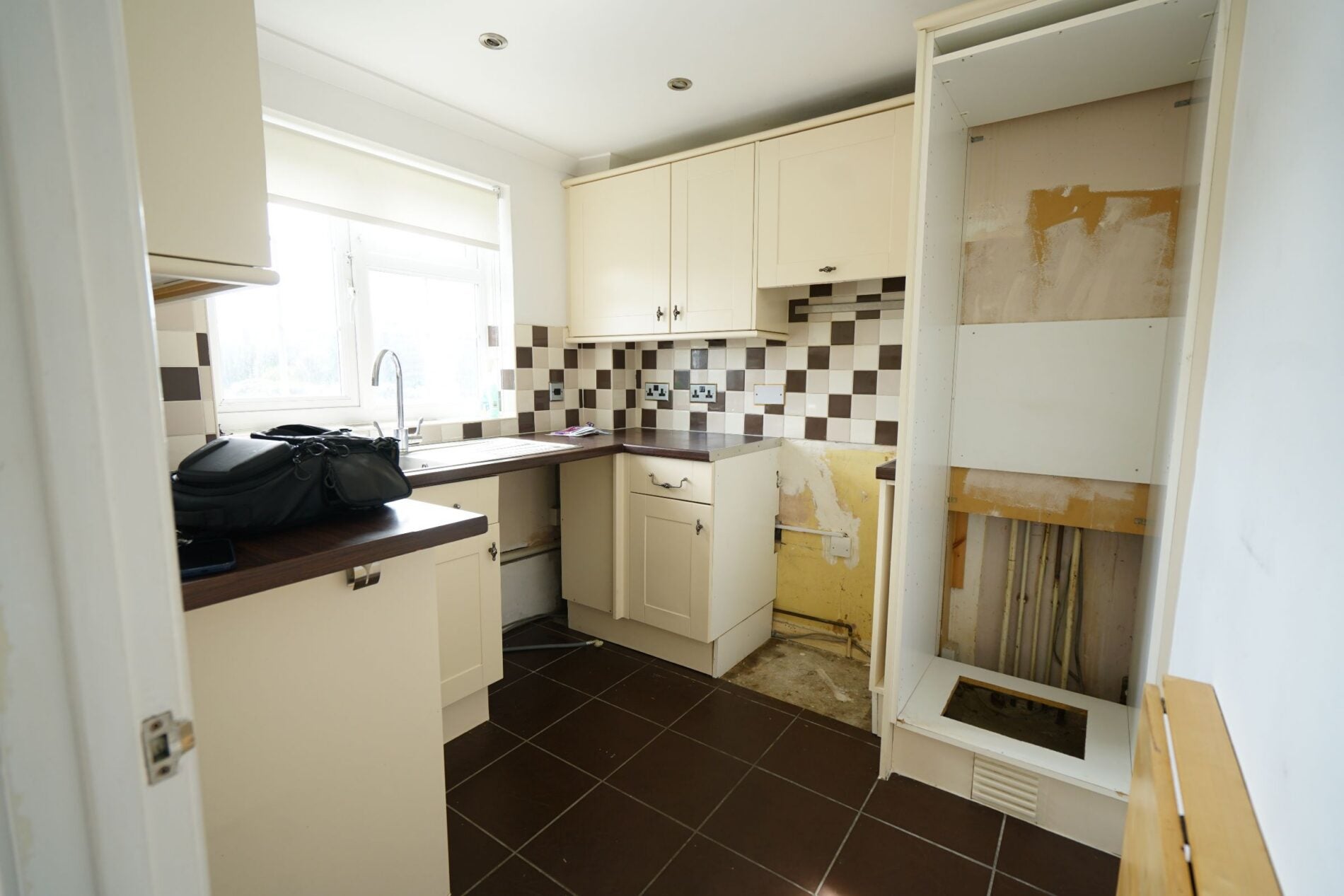 Flat Cherry Tree Close in Grays