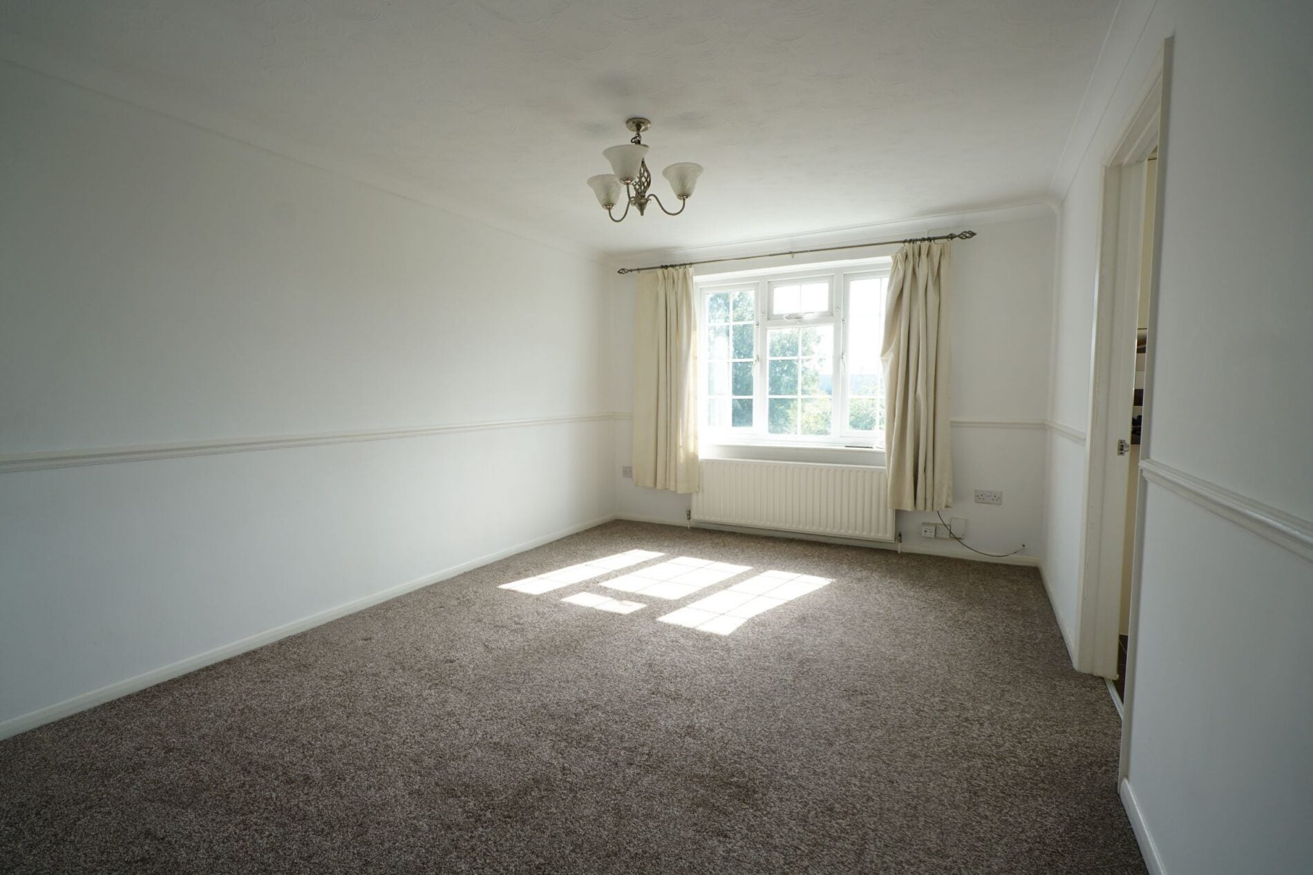 Flat Cherry Tree Close in Grays