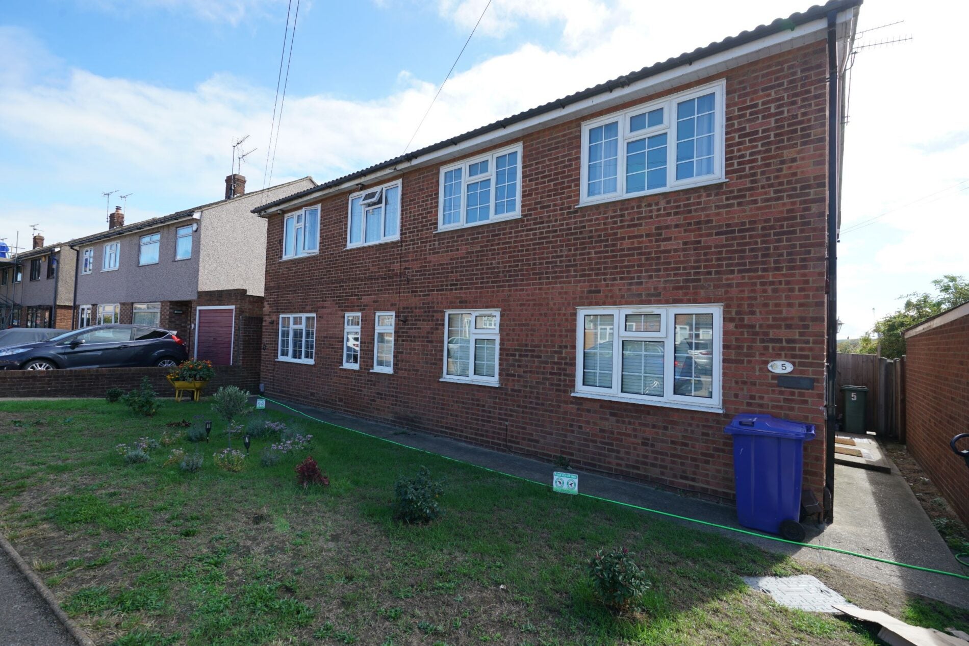 Flat Cherry Tree Close in Grays