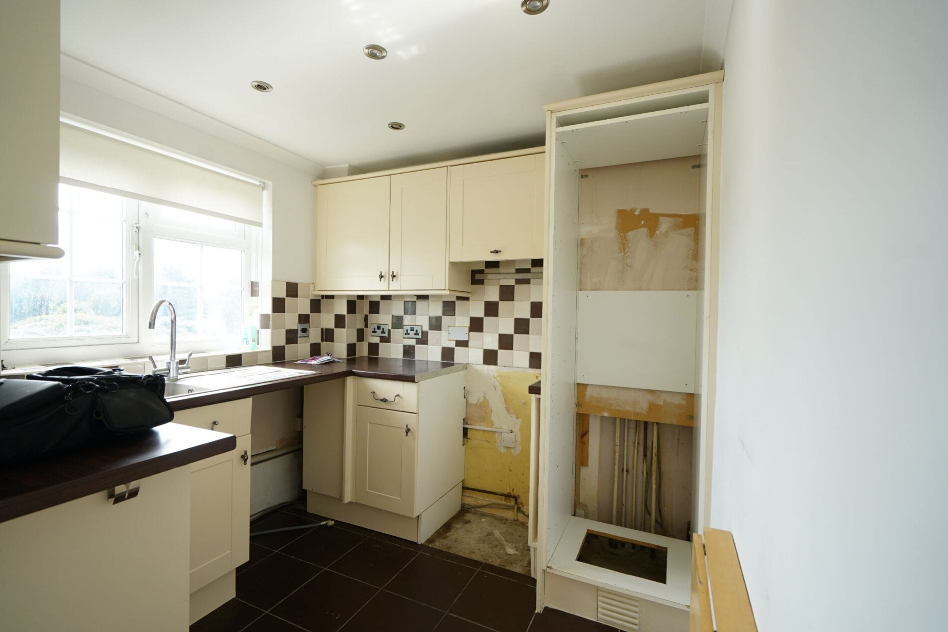 Flat Cherry Tree Close in Grays