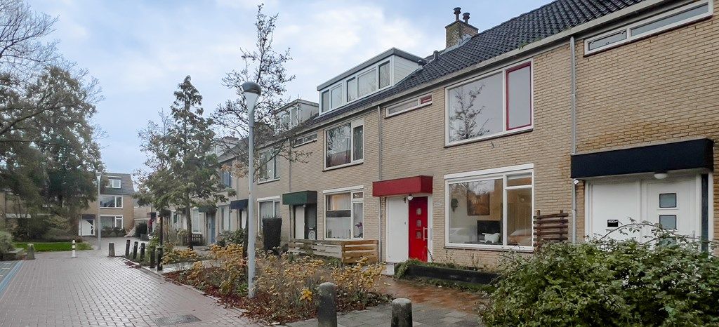 Flat Graan voor Visch in Hoofddorp