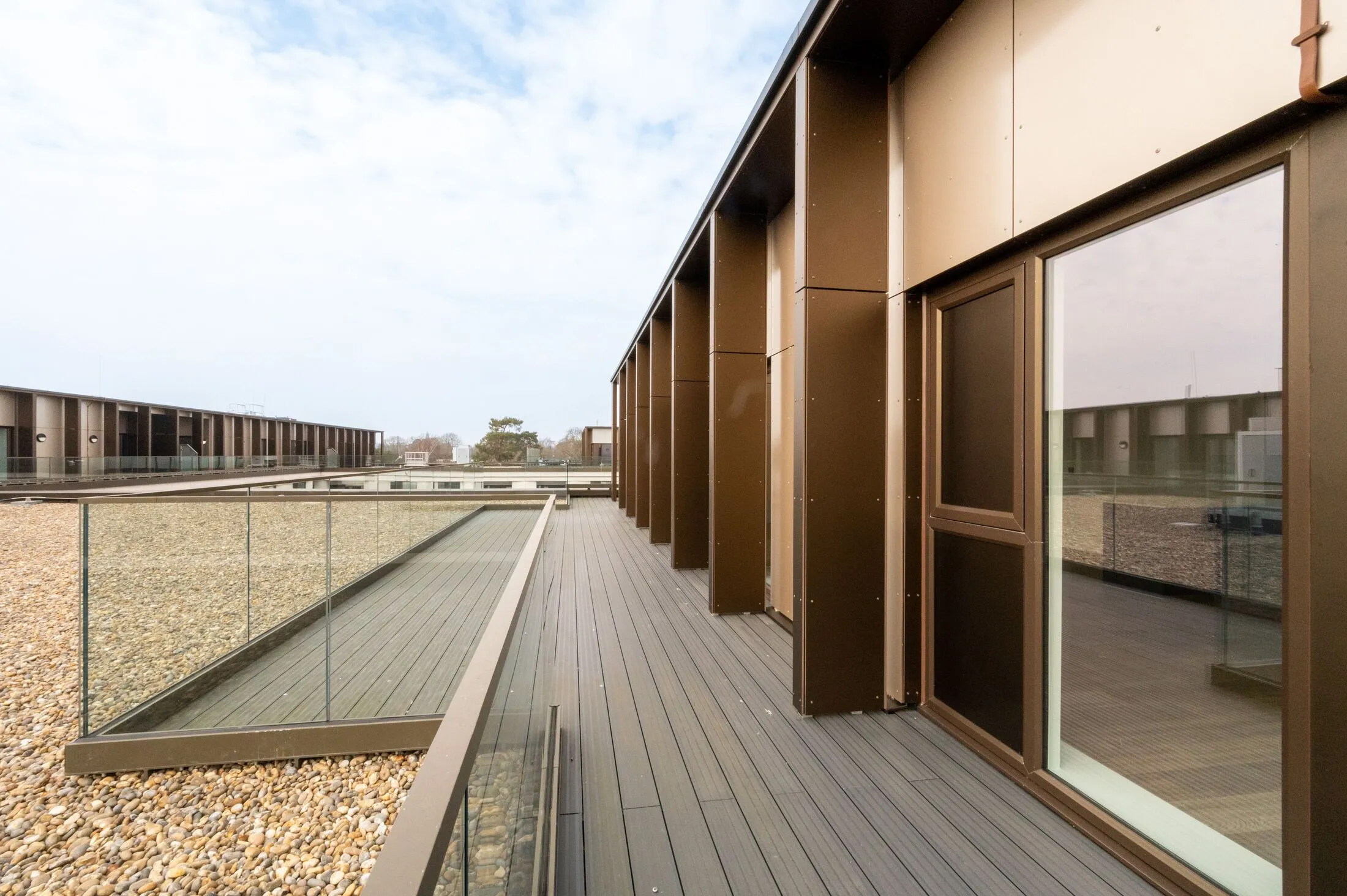 Flat Leaping Birds Rise in Elmbridge