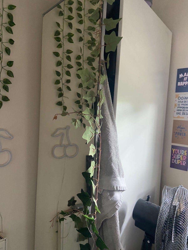 Room Shardeloes Road in Greater London