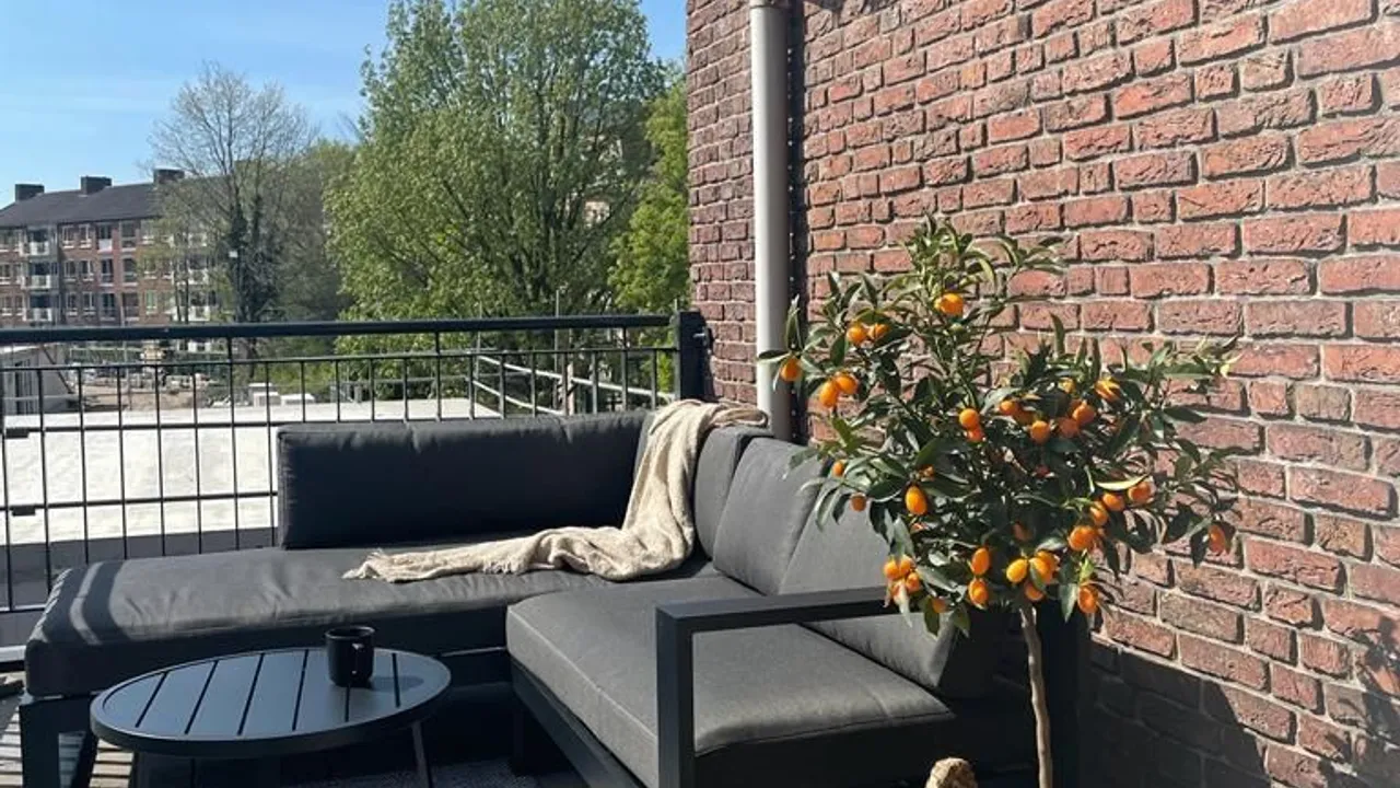 Appartement Oranjeboomstraat 13