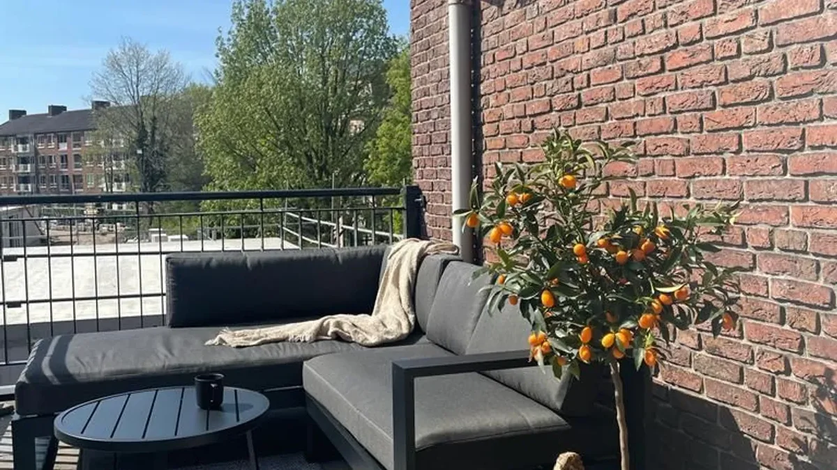 Appartement Oranjeboomstraat 13