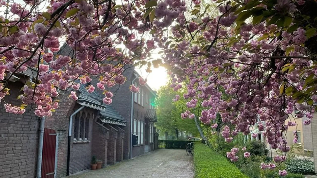 Appartement Oranjeboomstraat in Breda