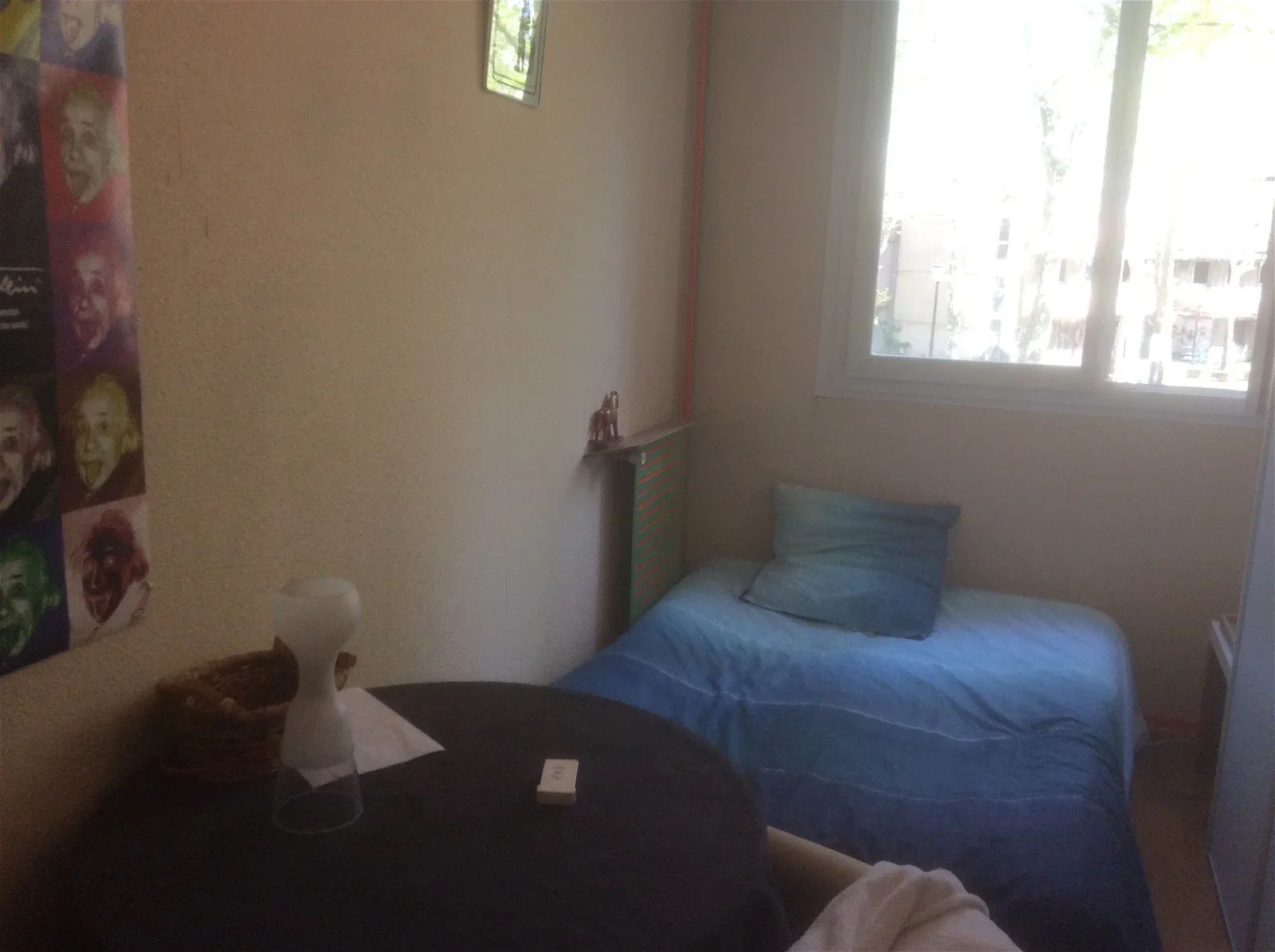 Room Avenue Voltaire in Vaulx-en-Velin