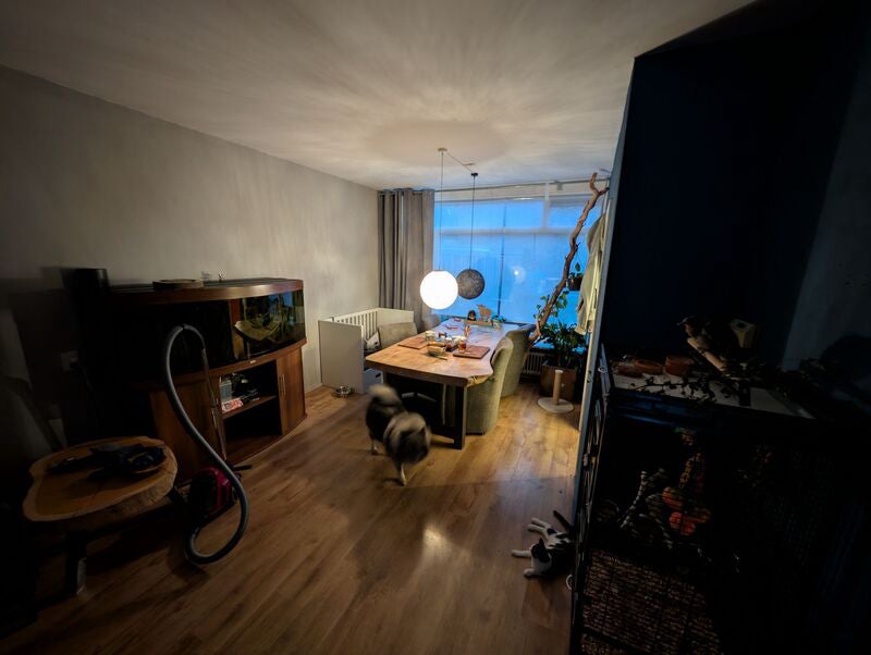 Appartement Gentiaanstraat 2